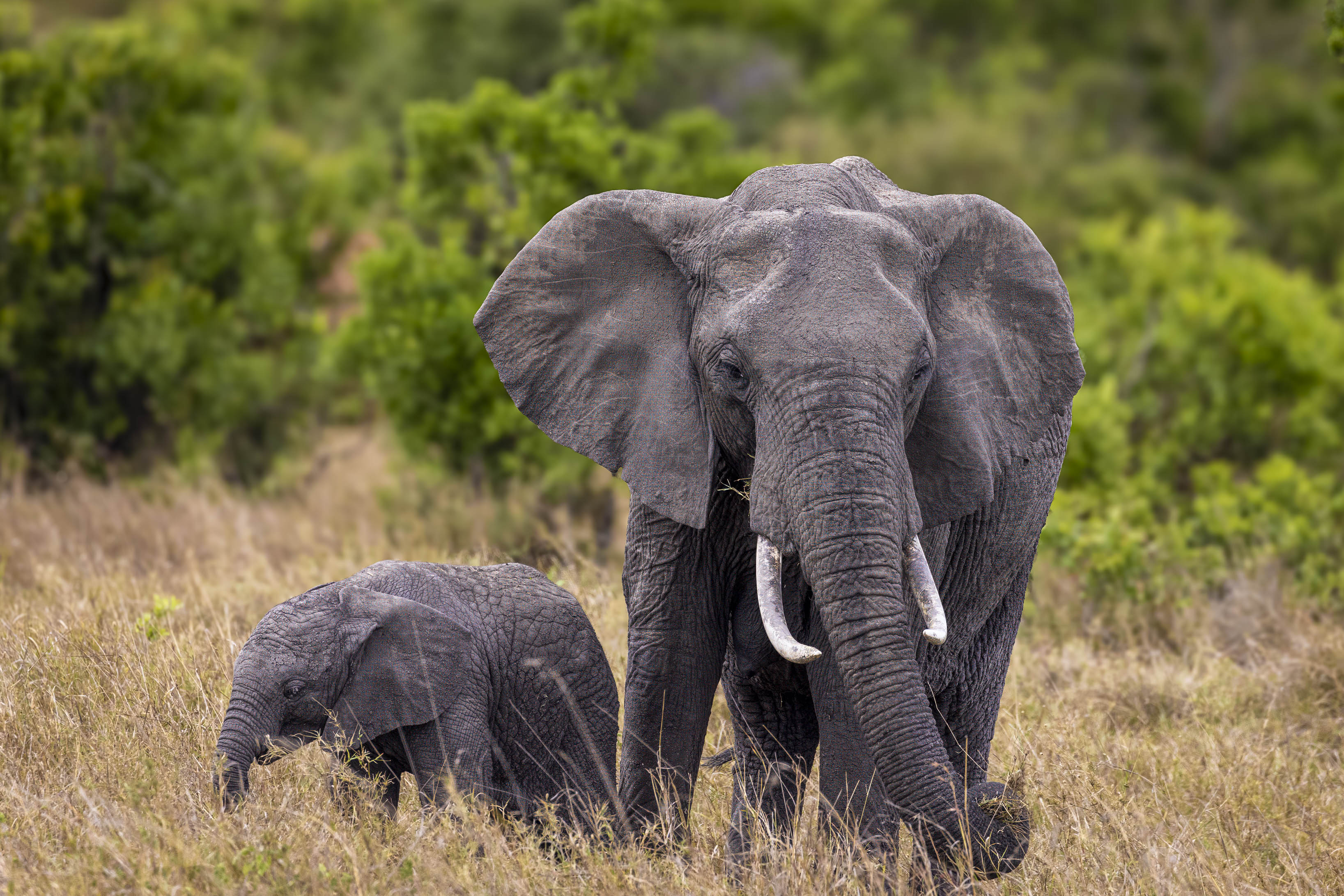 November 11, 2022-131350-Edit.jpg